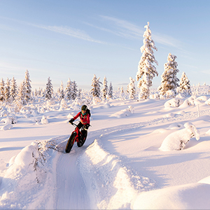 Best time to visit Finnish Lapland