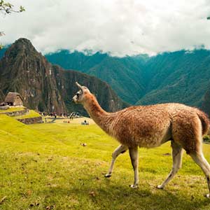 The history of Machu Picchu