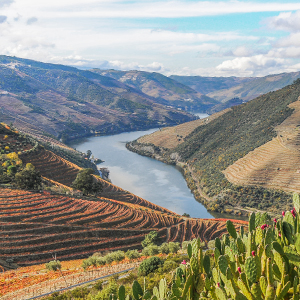 Douro Valley holidays, Portugal