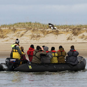 Bird watching cruises
