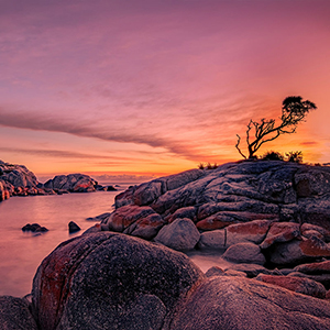 Tasmania travel guide