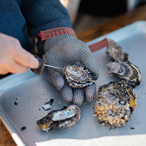 Food & drink in Tasmania