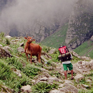 India walking map & highlights