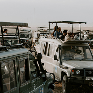 Irresponsible tourism