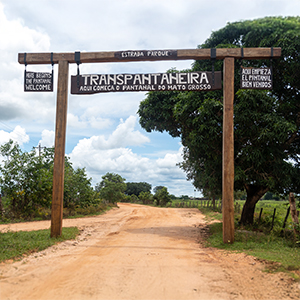 Self drive Pantanal holidays