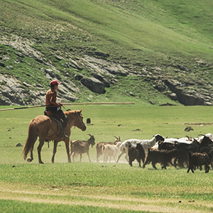 Holidays with nomadic tribes & communities