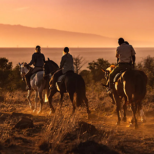 Horse riding safari holidays