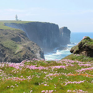 Coastal walks travel guide