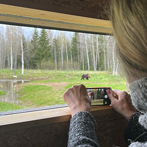 Estonia wildlife