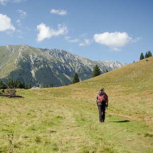Walking in the Carpathian Mountains