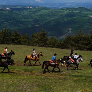 Horse riding holidays in Serbia