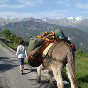Best time to visit Mercantour