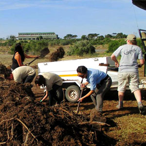 Responsible volunteering in South Africa