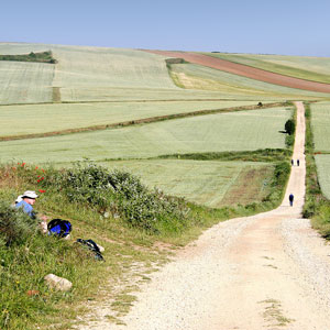 Camino de Santiago travel guide