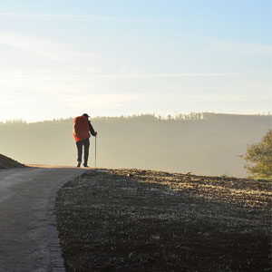 Best time to walk the Camino de Santiago