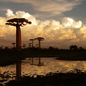 Madagascar National Parks