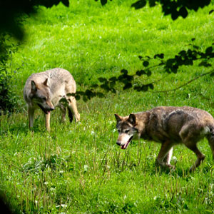 Responsible tourism in France