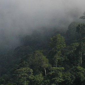 Best time to visit Togo