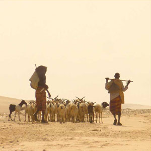 Somaliland travel guide 