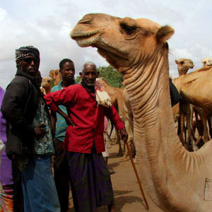 Best time to visit Somaliland