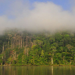 French Guiana travel guide