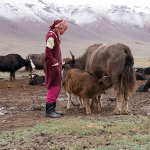 Best time to visit Tajikistan