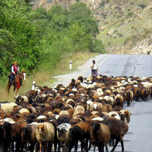 Kyrgyzstan travel guide