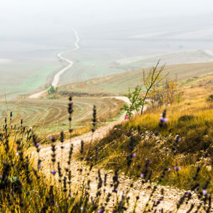 Camino de Santiago pilgrimage walk