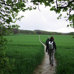 Pilgrimage walking advice