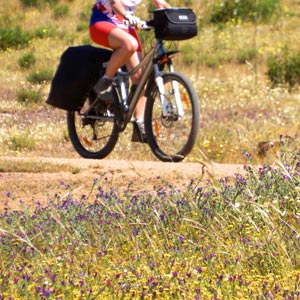 Cycling the Camino de Santiago