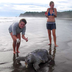 Volunteering in Costa Rica travel guide