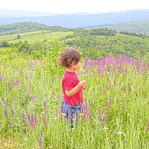 Romania with kids