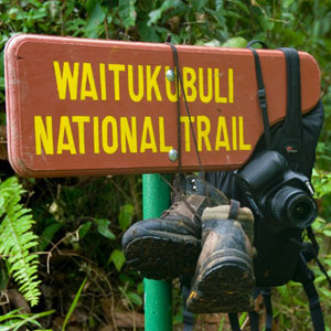 Walking holidays in the Caribbean