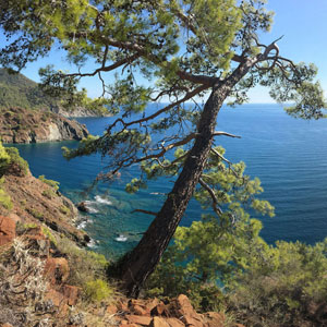 Turkey travel guide