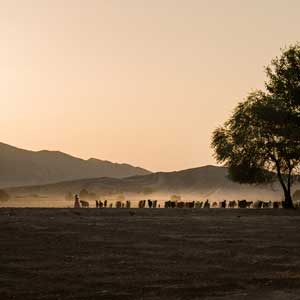 Responsible tourism in the Middle East
