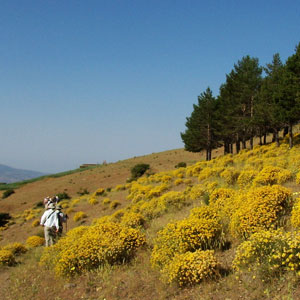 Walking holidays in the Alpujarras
