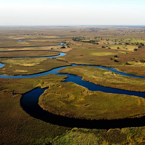 The Okavango Delta 