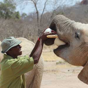 Travelling in Kenya with kids