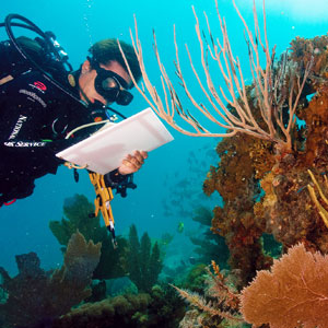 Marine conservation advice