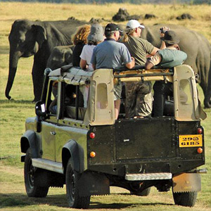 How to choose a wildlife holiday