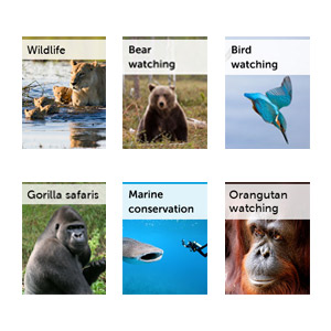All our wildlife guides