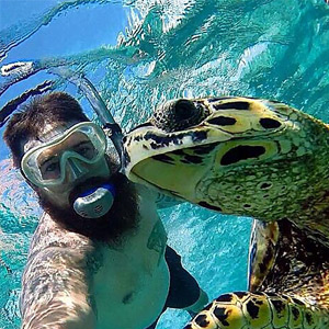 Should I take a selfie with wildlife?