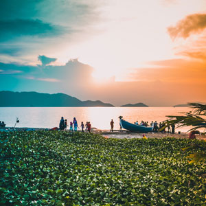 Where to go on a South Pacific cruise