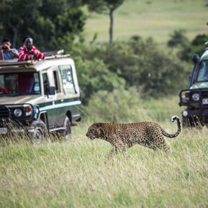 Lodge safari travel guide