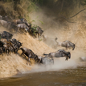 Best time to visit Tanzania