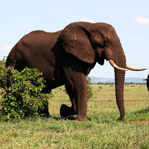South Africa & Mauritius travel guide