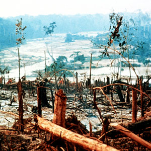 Responsible tourism in Brazil