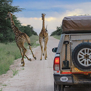 Self drive holidays in Namibia