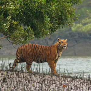 Bangladesh travel guide