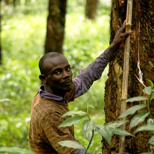 Liberia travel guide